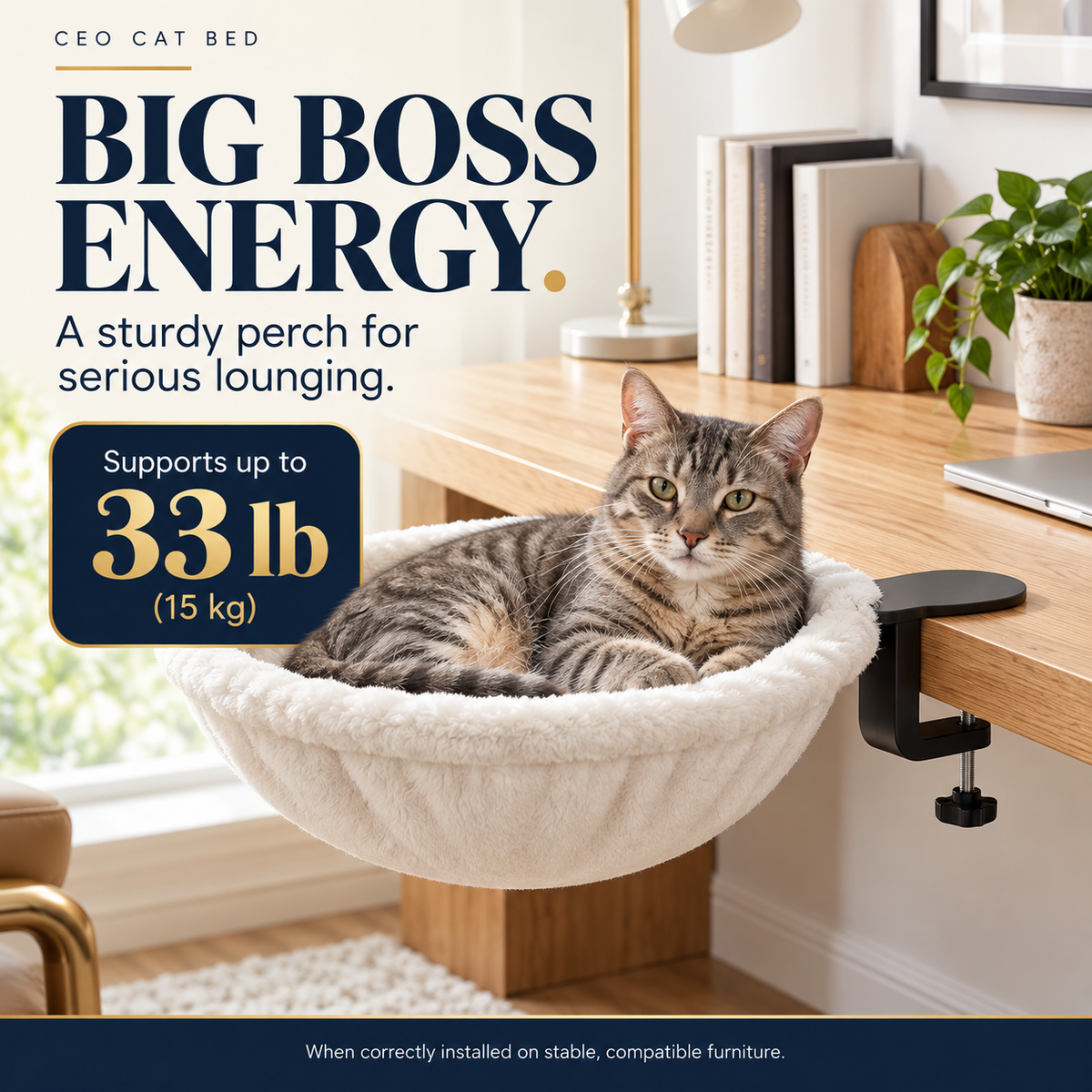 CEO Cat Bed