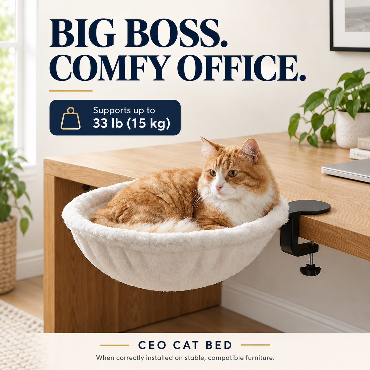 CEO Cat Bed